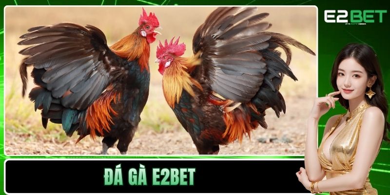 Đá Gà E2BET