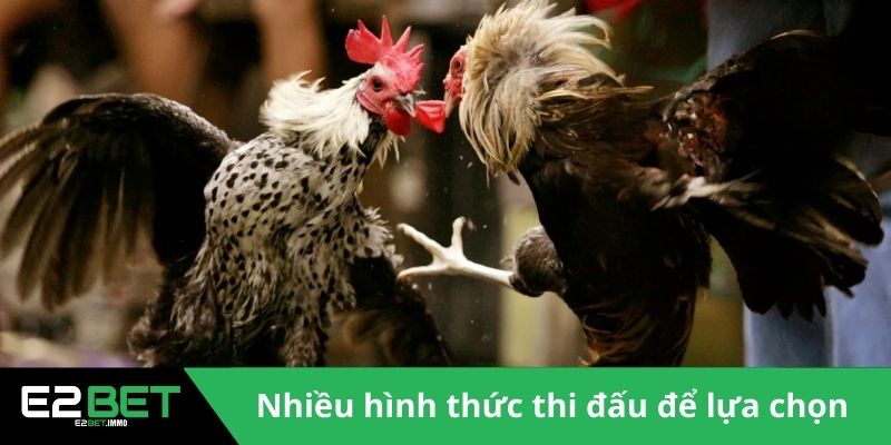 Nhiều hình thức thi đấu để lựa chọn 