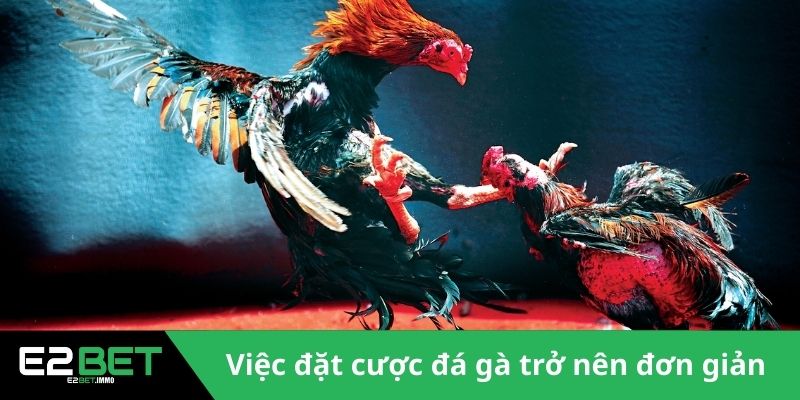 Việc đặt cược đá gà trở nên đơn giản 